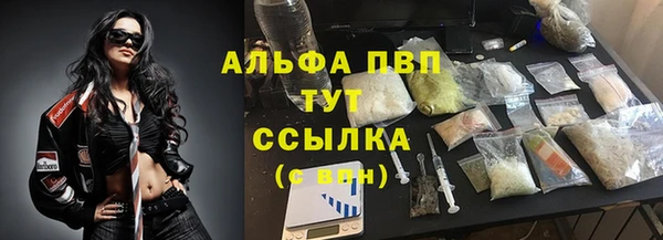 тгк Пестово