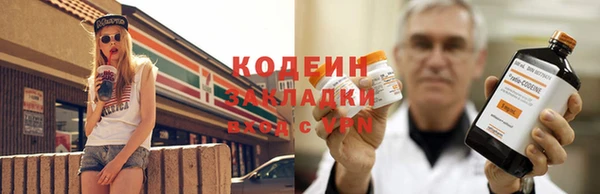 мяу мяу мука Алзамай