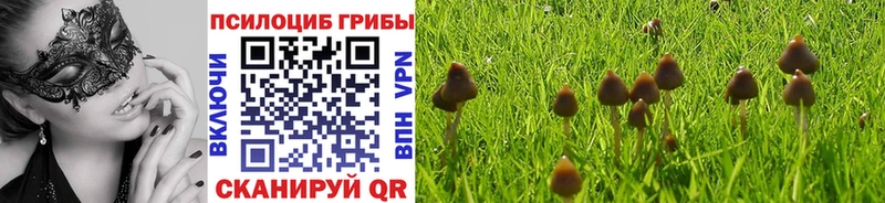 наркотики  Карасук  Галлюциногенные грибы MAGIC MUSHROOMS 