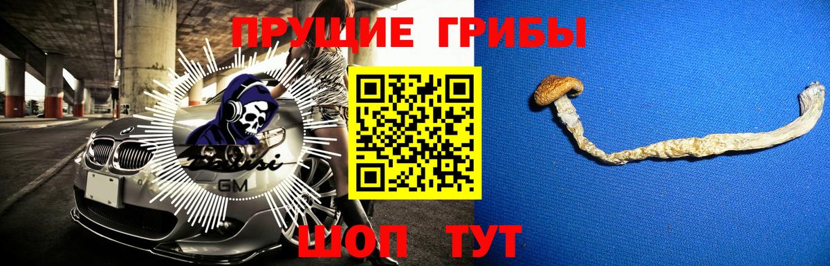 что такое наркотик  Псилоцибиновые грибы прущие грибы  Вход с VPN  Карасук 