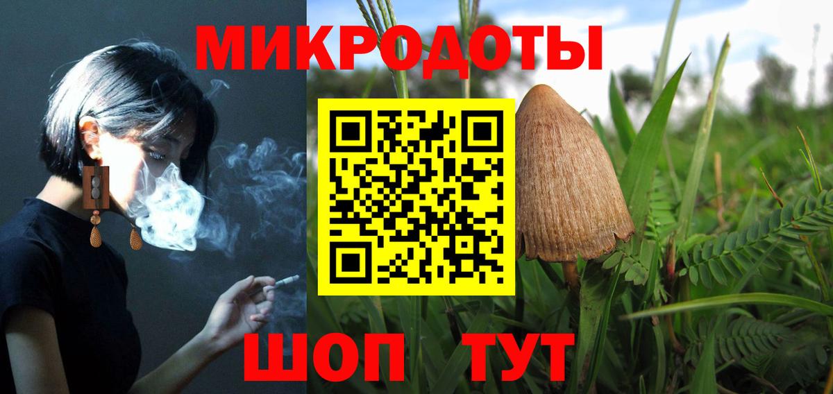 Псилоцибиновые грибы MAGIC MUSHROOMS Карасук